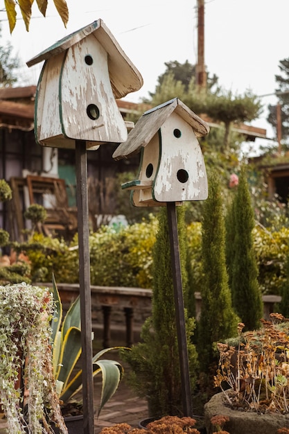 Photo close-up of wooden post by plants