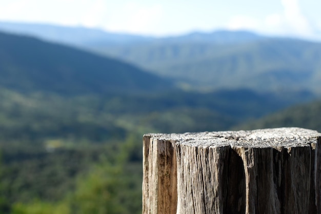 Foto close-up di un palo di legno sulla recinzione