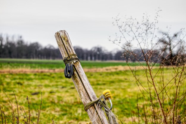 Close-up of wooden post on field against sky