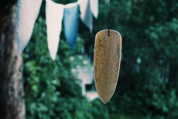 Close-up of wooden post hanging on tree