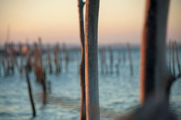 Close-up of wooden post in sea against sky