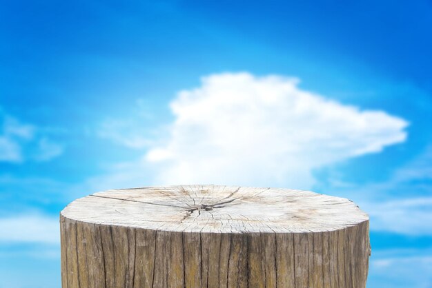 Close-up of wooden post on tree stump against sky