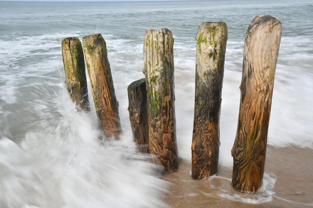 海中の木製の柱のクローズアップ