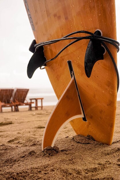 Foto close-up di una tavola da surf in legno alle radici