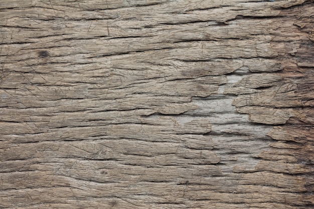 Close up of wooden texture