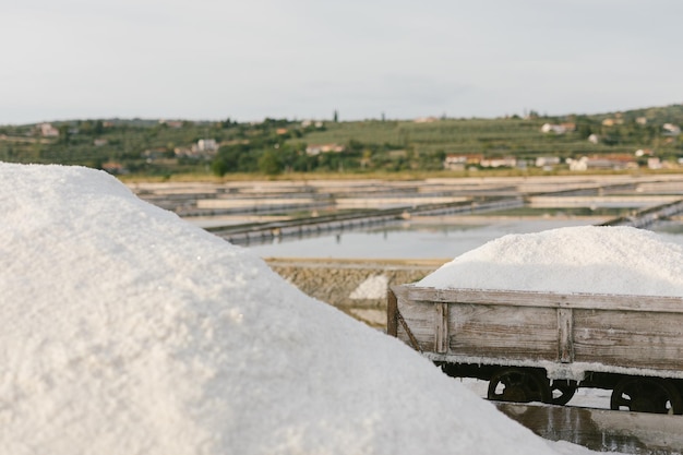 Foto close-up di un carrello di trasporto in legno per il sale nelle saline slovene