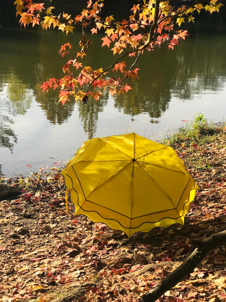 Photo close-up of yellow autumn leaves in lake