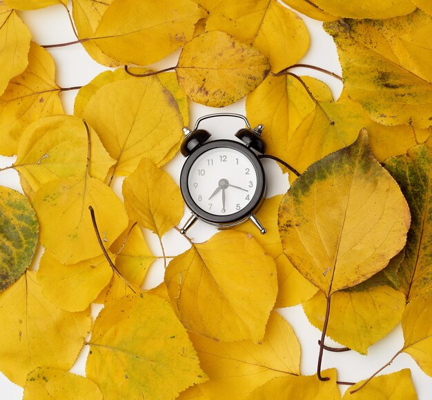 Photo close-up of yellow autumn leaves on table