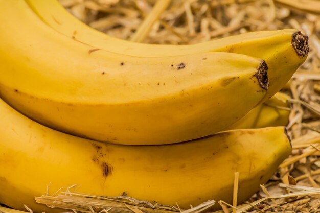 Close-up of yellow bananas
