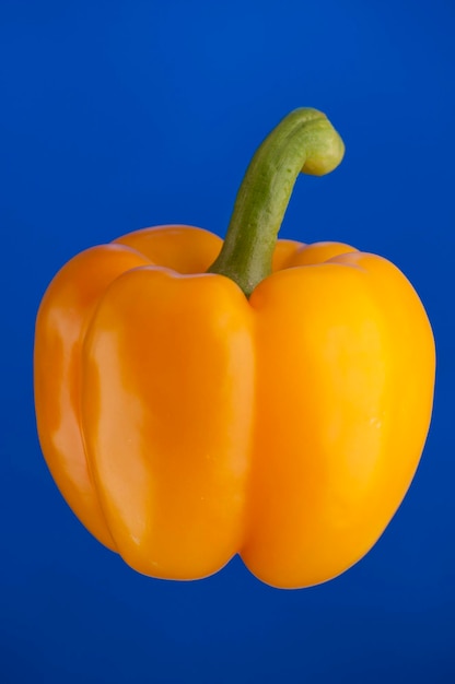 Close-up of yellow bell pepper against blue background