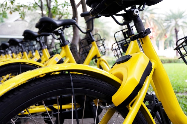 Close-up of yellow bicycles