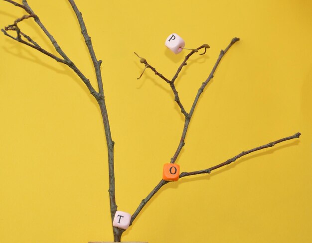 Close-up of yellow bird on branch against wall