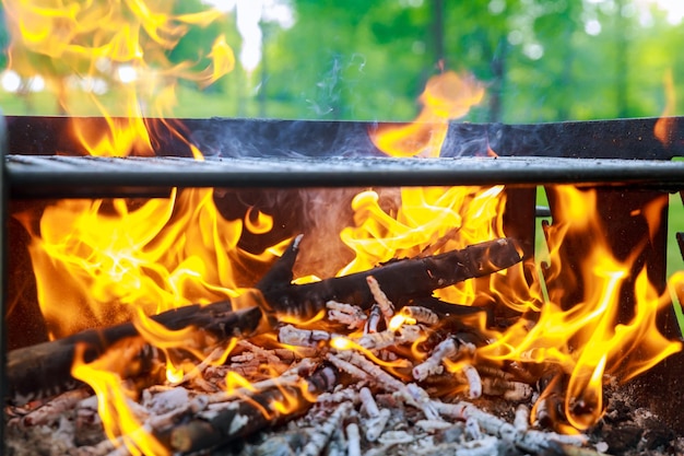 Close-up of yellow bonfire