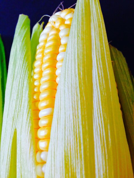 Photo close-up of yellow chili peppers