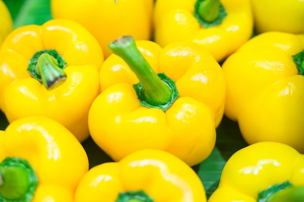 Foto chiuda sul fondo giallo dei peperoncini rossi