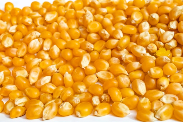 Close up yellow corns in plate