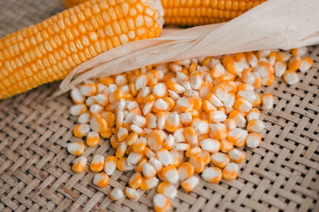 close up yellow dried corn for background