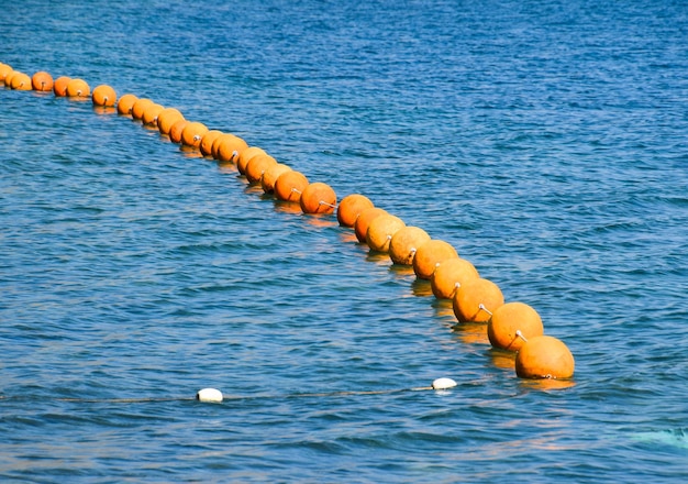 Photo close-up of yellow floating on water