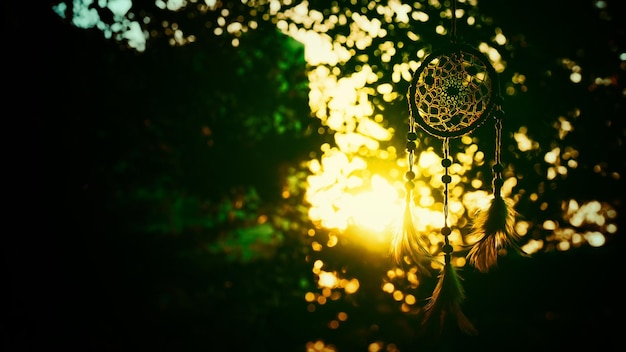 Photo close-up of yellow flower hanging on tree at night