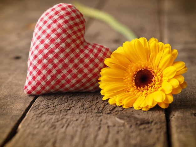 Photo close-up of yellow flower on table