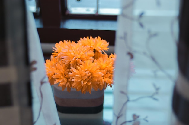 Photo close-up of yellow flower in vase