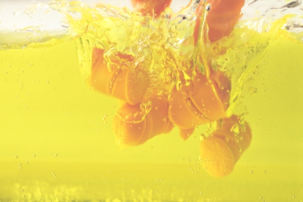 Close-up of yellow flower in water