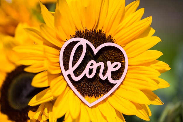 Photo close-up of yellow flower with heart shape