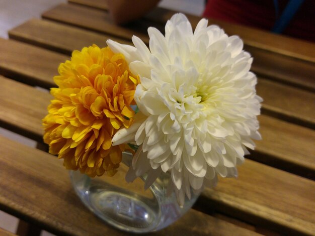 Photo close-up of yellow flower