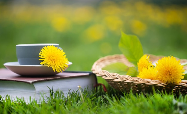 Foto close-up di un fiore giallo