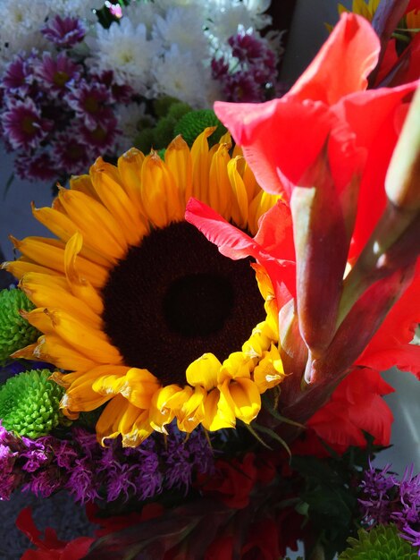 Foto close-up di un fiore giallo