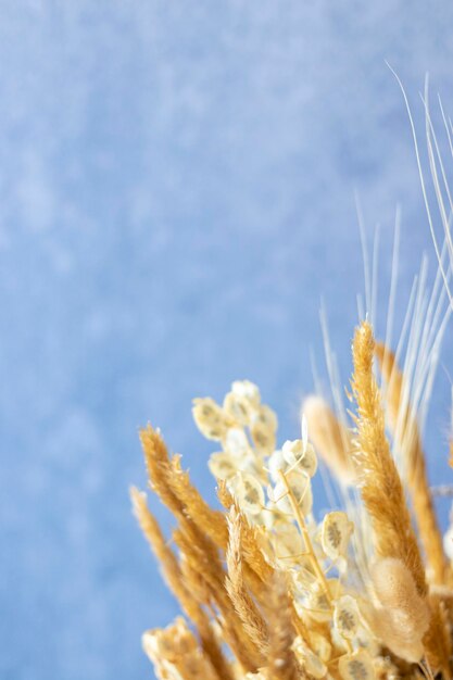 Close-up of yellow flowering plant against blue sky