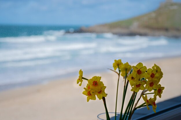 Close-up of yellow flowering plant against sea