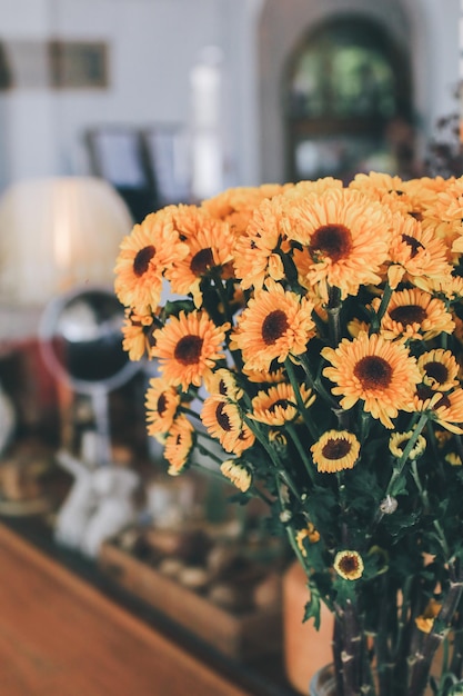 Photo close-up of yellow flowering plant at home