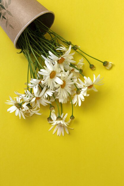 Close-up of yellow flowering plant on table