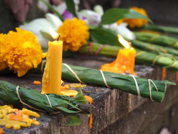 Foto prossimo piano di una pianta a fiori gialli