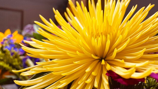 Close-up of yellow flowering plant