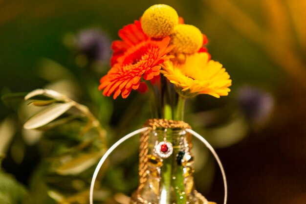 Close-up of yellow flowering plant