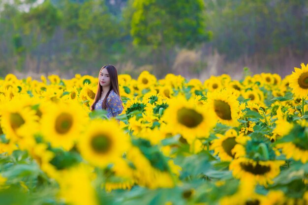 Close-up of yellow flowering plants on field