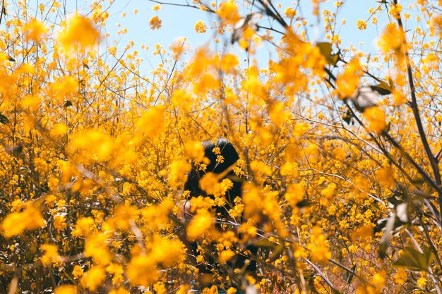 Close-up of yellow flowering plants on field