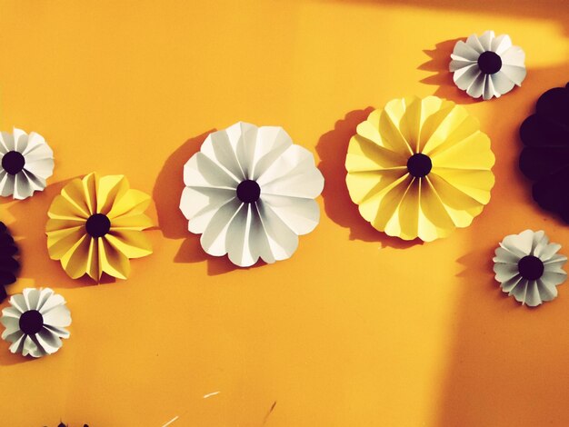 Close-up of yellow flowers against wall