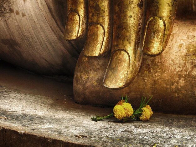 Photo close-up of yellow flowers by statue