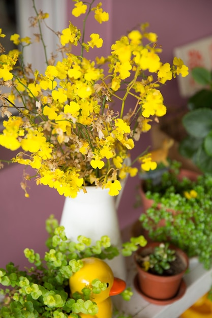 Close-up of yellow flowers in pot