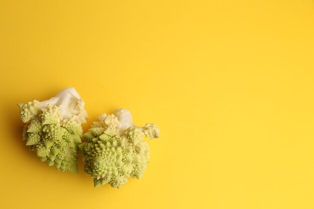 Close-up of yellow flowers on table