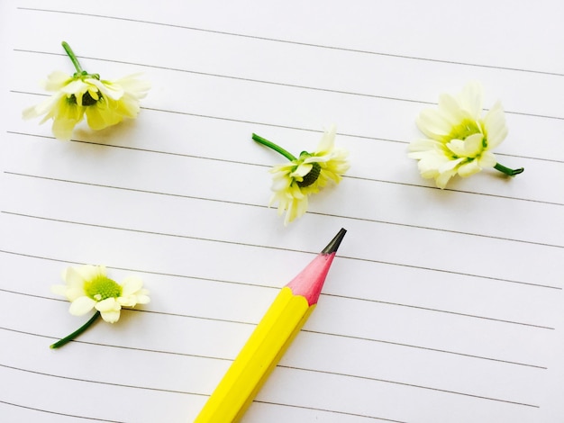 Photo close-up of yellow flowers on table