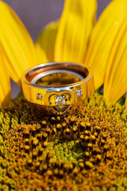 Close-up of yellow flowers on table