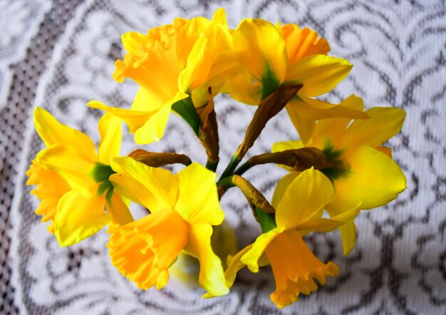 Close-up of yellow flowers