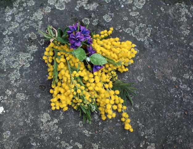 Foto close-up di fiori gialli