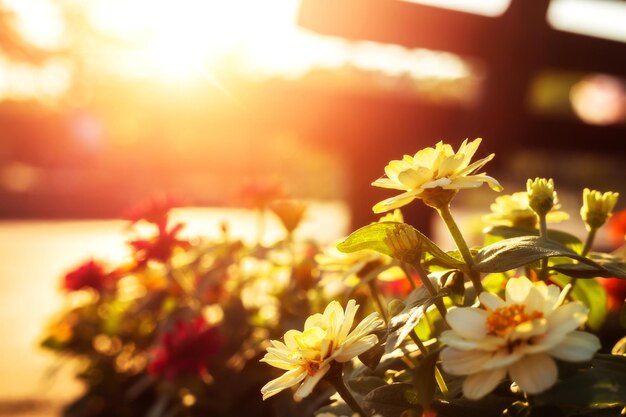 Close-up of yellow flowers