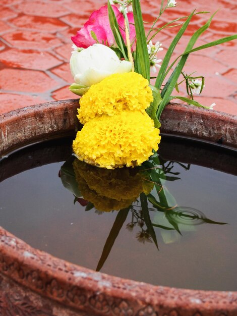 Close-up of yellow flowers