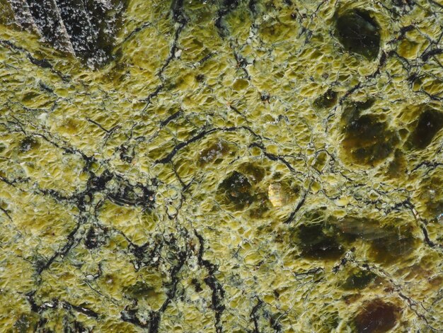 Photo a close up of a yellow and green marble with black dots.